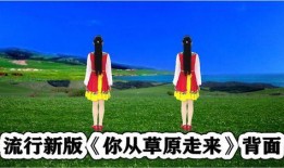 爆料热榜舞蹈视频,舞动青春，燃情演绎